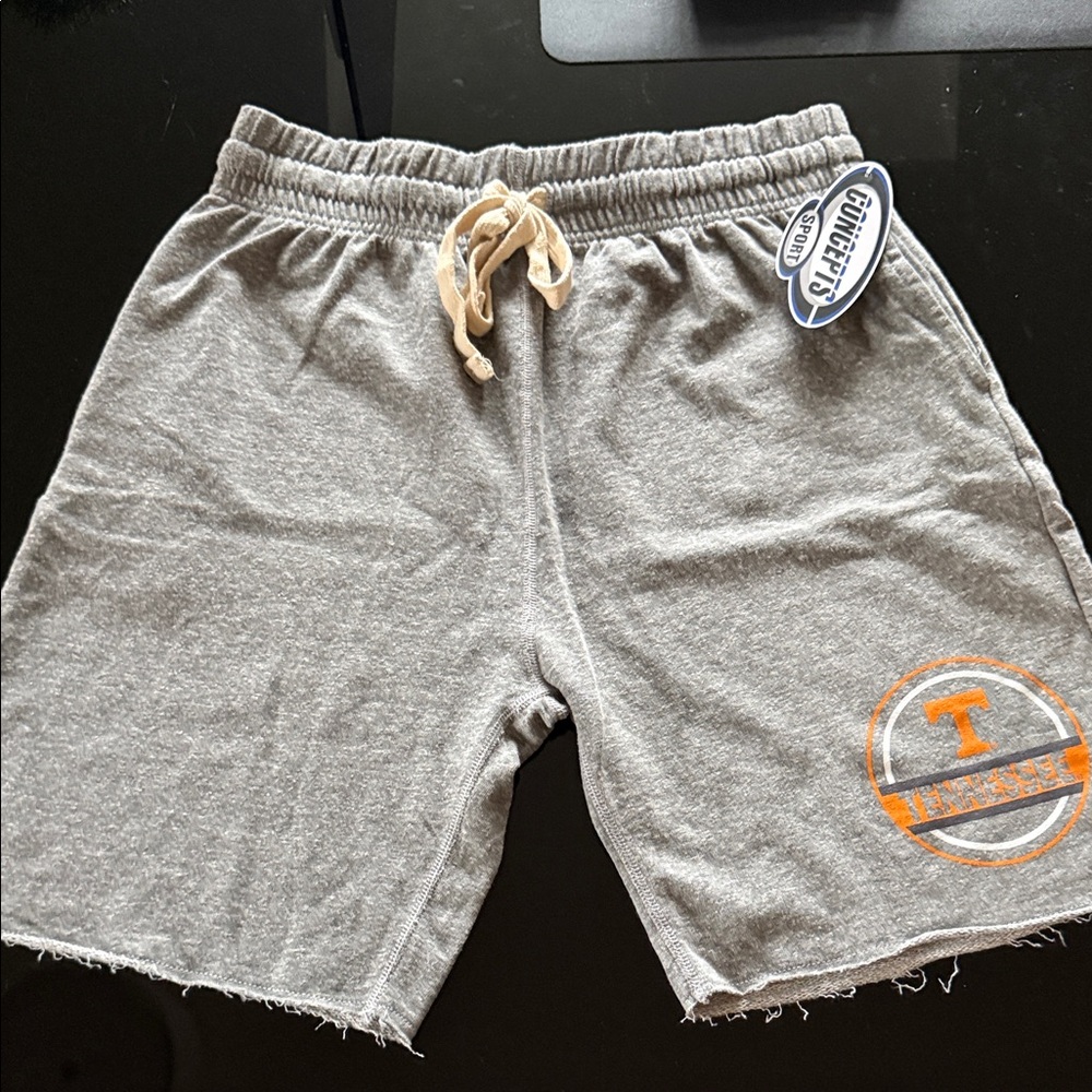 Champion Men's Athletic Shorts - Gray and Orange